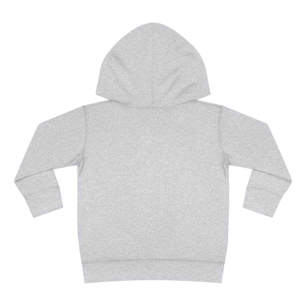 Atl Toddler Hoodie